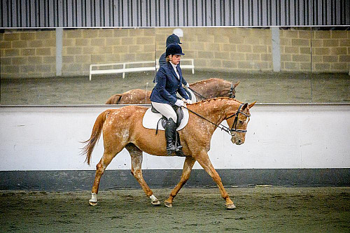 Redhorse Dressage Championship at Willow Farm - Day 2 (2117) 