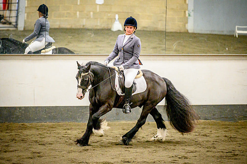 Redhorse Dressage at Willow Farm (2125) 