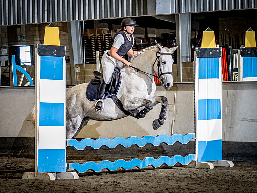  Colette's Indoor Showjumping at Willow Farm (QP2341) 