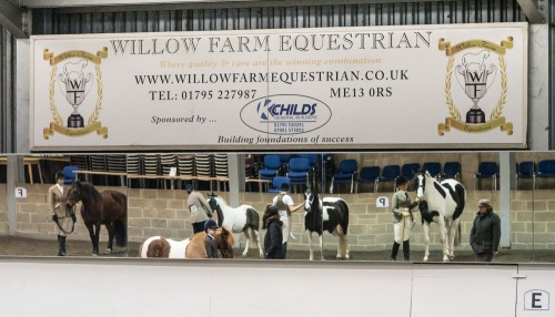 Colette's Indoor Showing <br> at Willow Farm Equestrian (1802) 