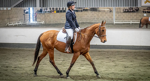 Redhorse Dressage at Willow Farm (2209) 