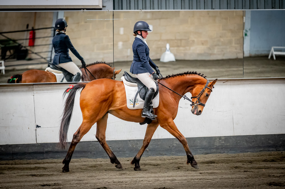 Redhorse Dressage at Willow Farm (QP2322) - Archives... - 2023 ...