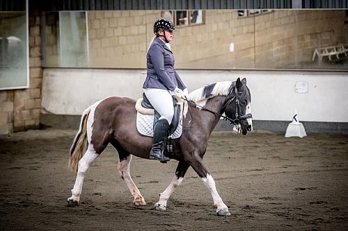 Redhorse Dressage at Willow Farm (QP2406) 