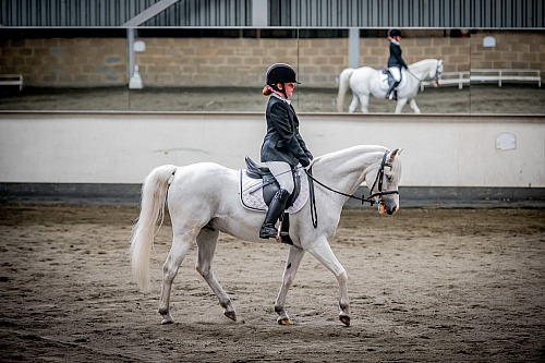 Redhorse Dressage at Willow Farm (QP2421) 