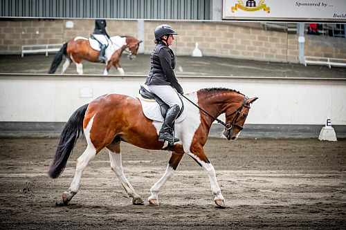  Redhorse Dressage at Willow Farm (QP2426) 