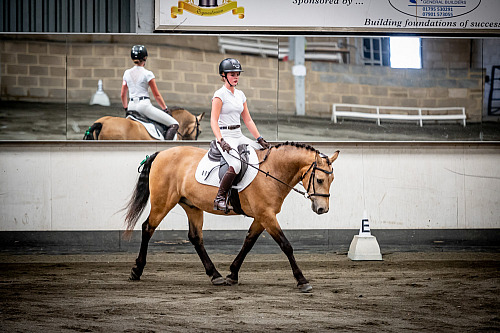  Redhorse Dressage at Willow Farm (QP2428) 