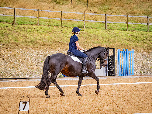 Breach Barn Dressage (QP2435) 