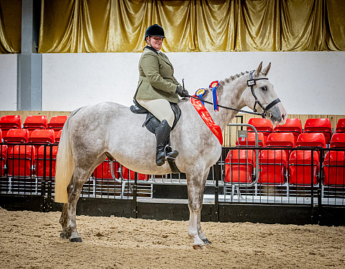 Colette's Showing at White Horse Farm (QP2437) 