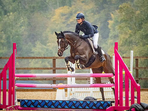 Breach Barn Showjumping (QP2440) 