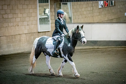 Redhorse Dressage at Willow Farm (QP2441) 