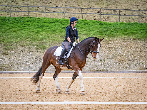 Breach Barn Dressage (QP2446) 