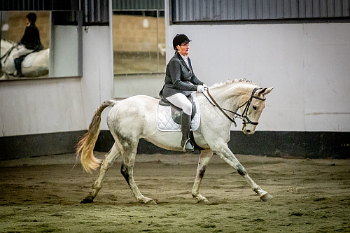 Redhorse Dressage at Willow Farm (QP2448) 