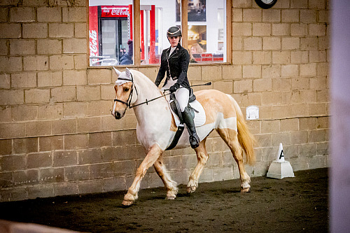 Redhorse Dressage at Willow Farm (QP2501) 