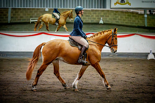 QP2601 Redhorse Dressage at Willow Farm 2026-01-18 