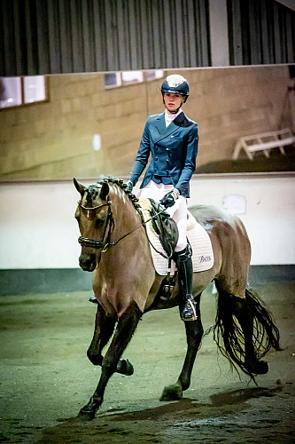 QP2609 Redhorse Dressage at Willow Farm 2026-03-22