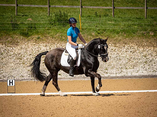 QP2632 Breach Barn Dressage 2026-09-19 
